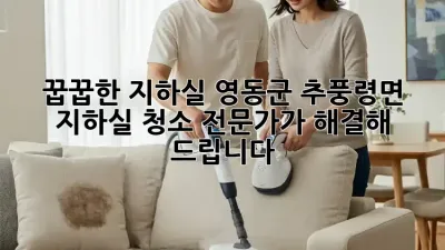 꿉꿉한 지하실? 영동군 추풍령면 지하실 청소 전문가가 해결해 드립니다!