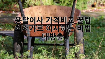 용달이사 가격비교 꿀팁🍯 최저가로 이사하는 비법 대방출! 🚚💨