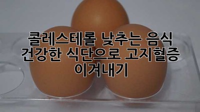 콜레스테롤 낮추는 음식: 건강한 식단으로 고지혈증 이겨내기